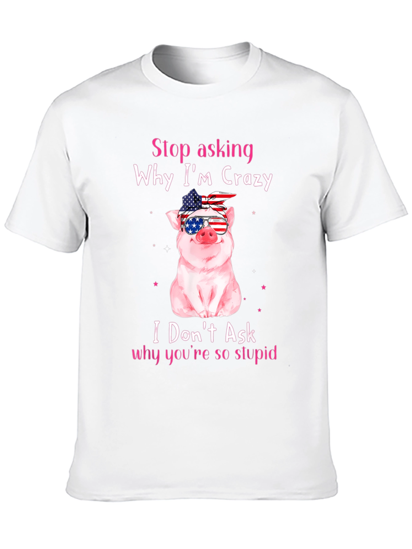 Crazy Pig USA Flag T-Shirt