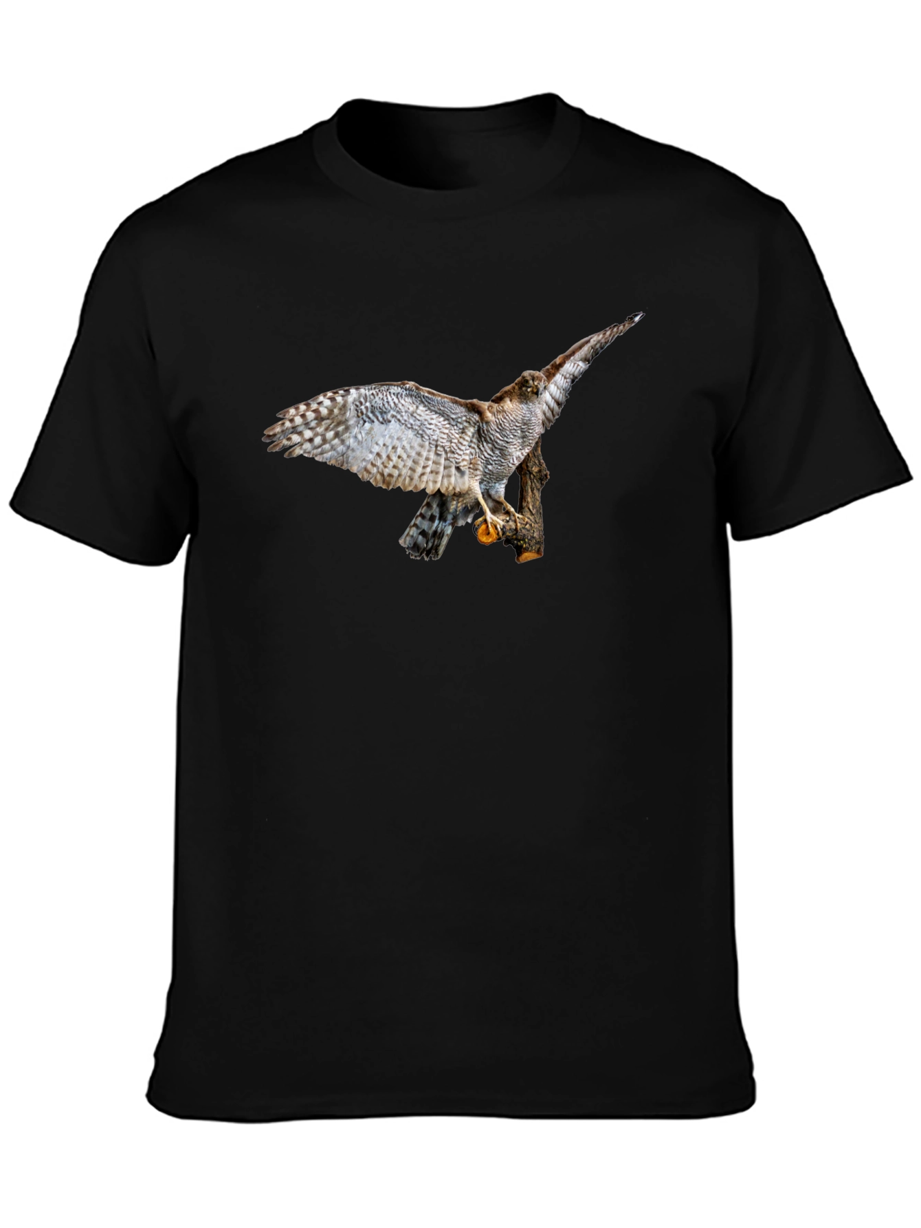 Cool Black T-Shirt with Bird of Prey Graphic Print