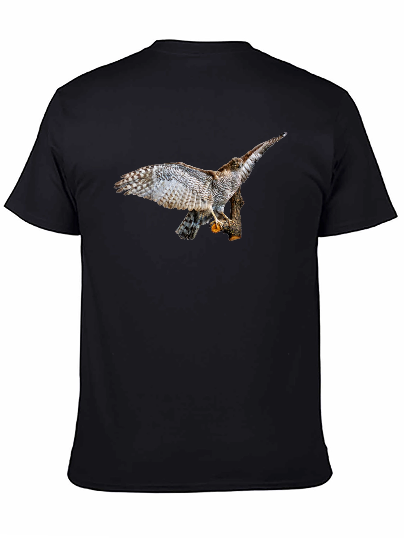 Cool Black T-Shirt with Bird of Prey Graphic Print