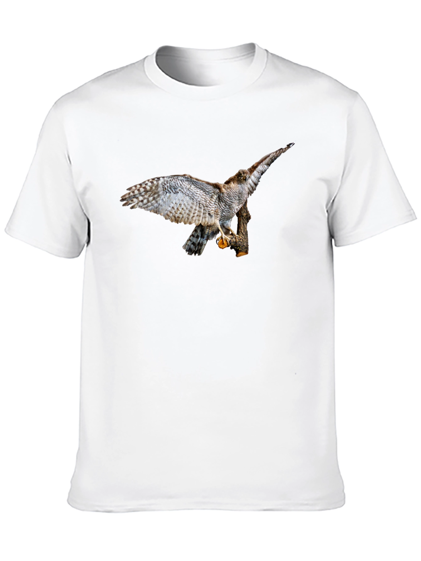Cool Black T-Shirt with Bird of Prey Graphic Print