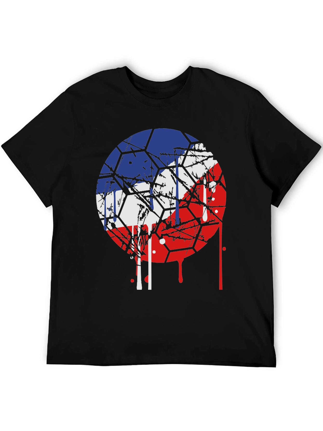 Czech Republic Flag Graphic Tee - Unique Design