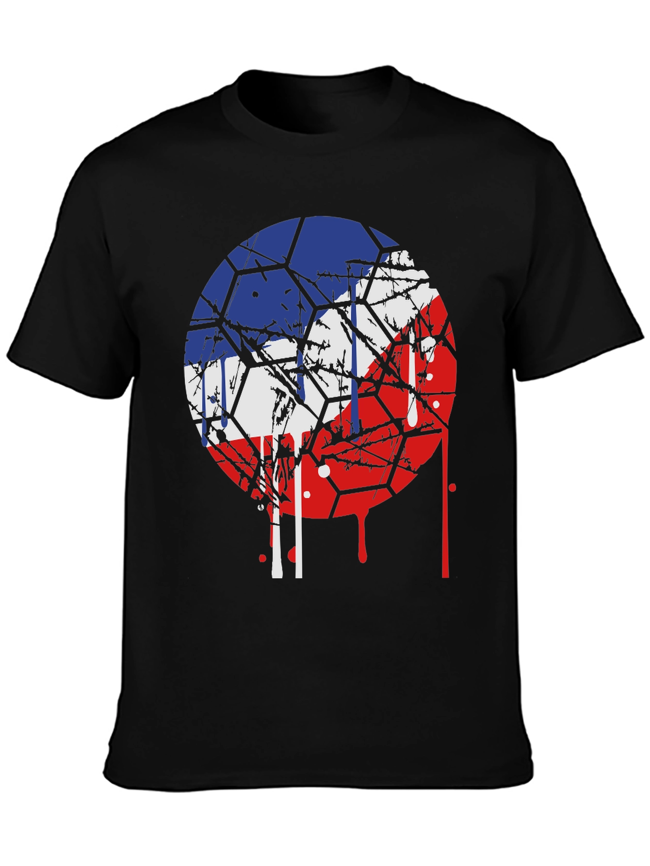 Czech Republic Flag Graphic Tee - Unique Design
