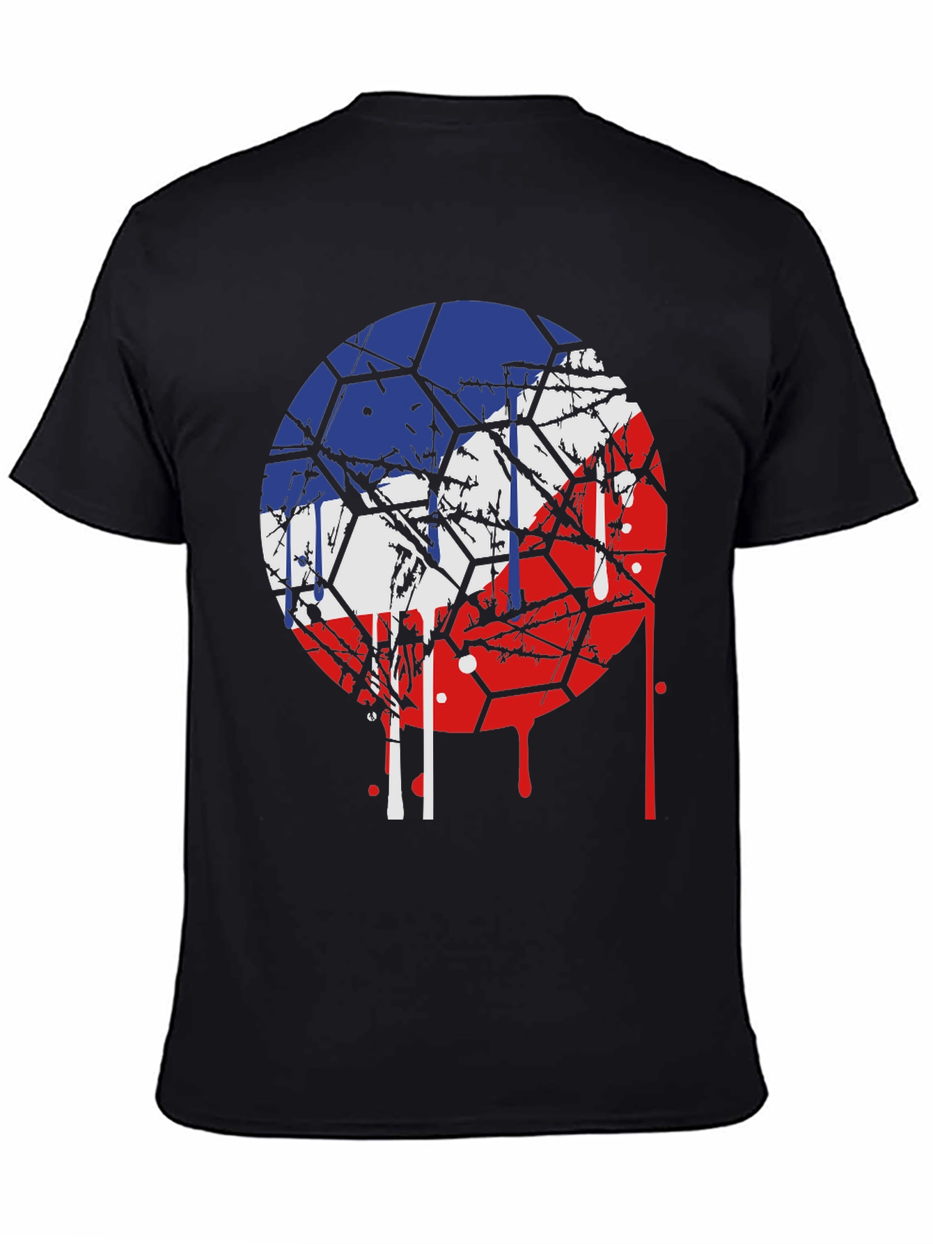 Czech Republic Flag Graphic Tee - Unique Design