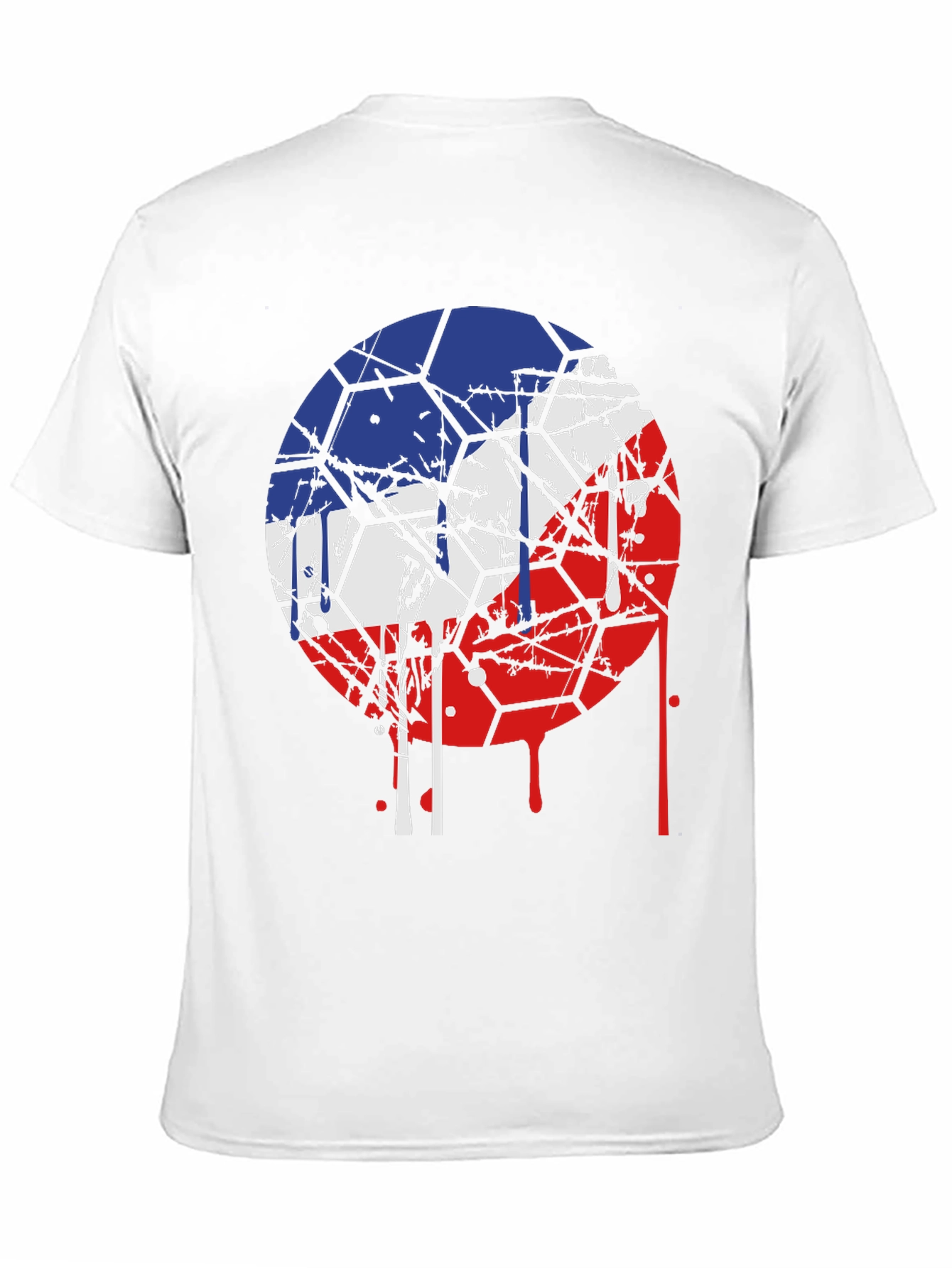 Czech Republic Flag Graphic Tee - Unique Design