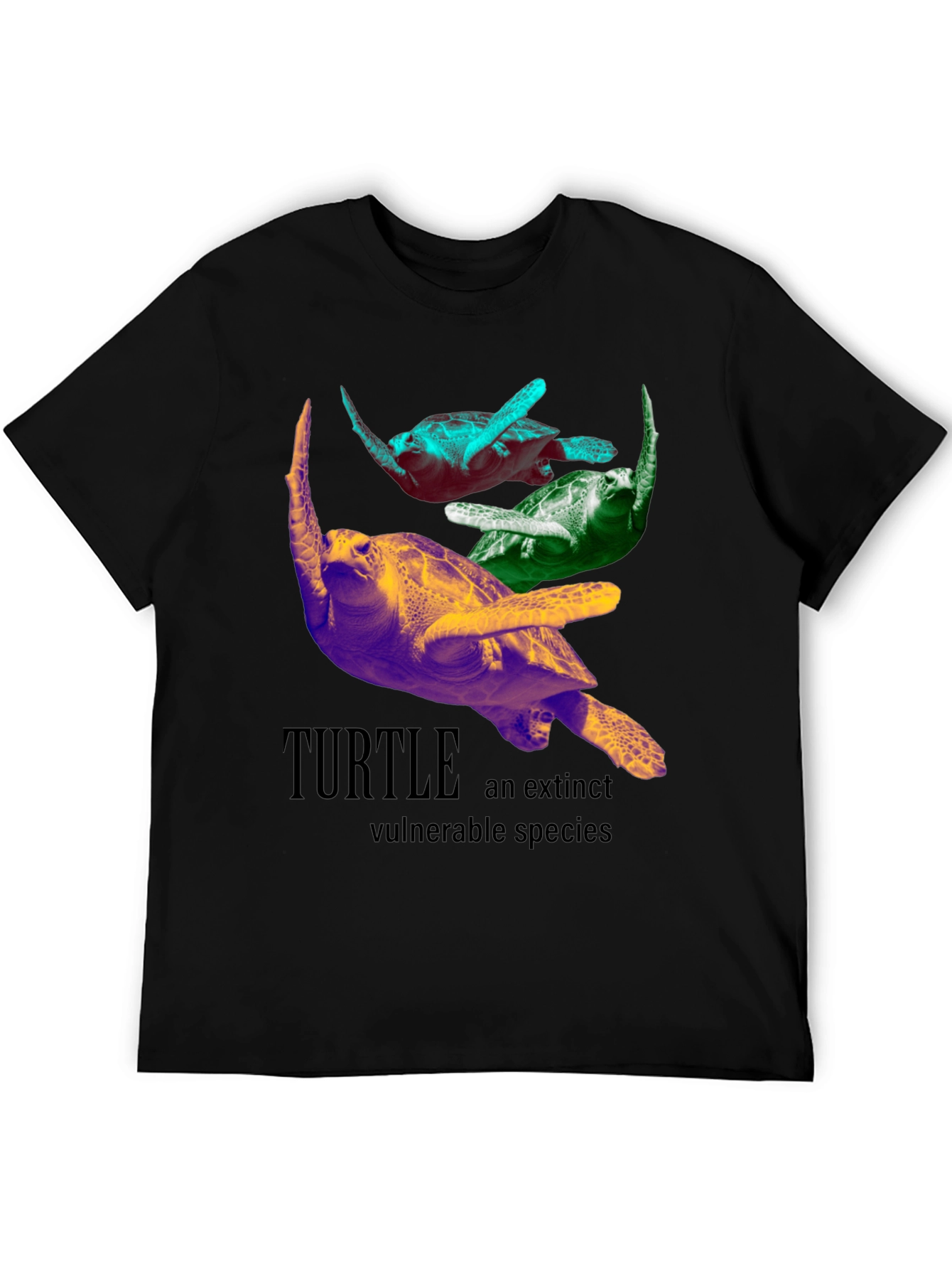Turtle Species Graphic Tee