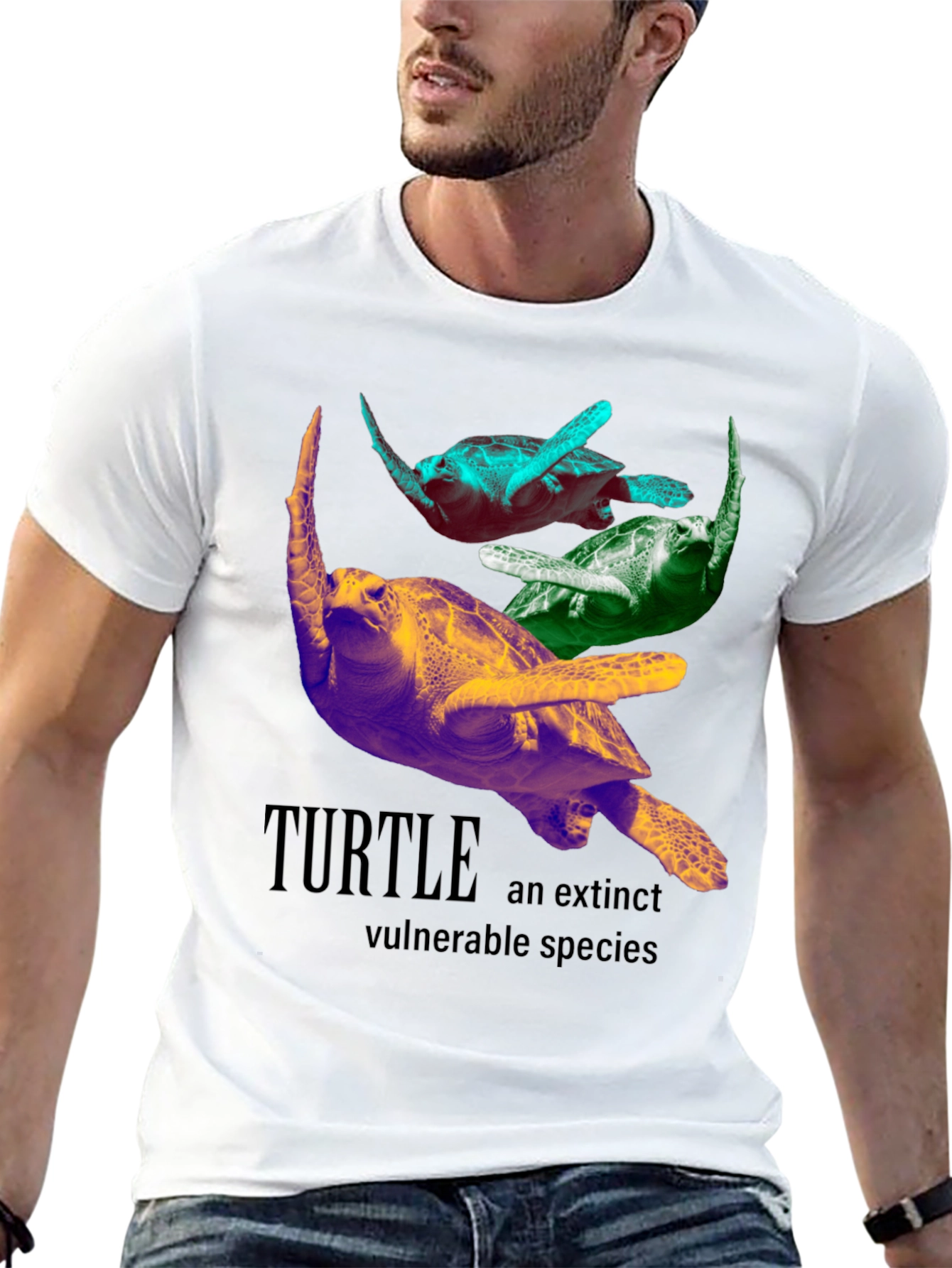 Turtle Species Graphic Tee