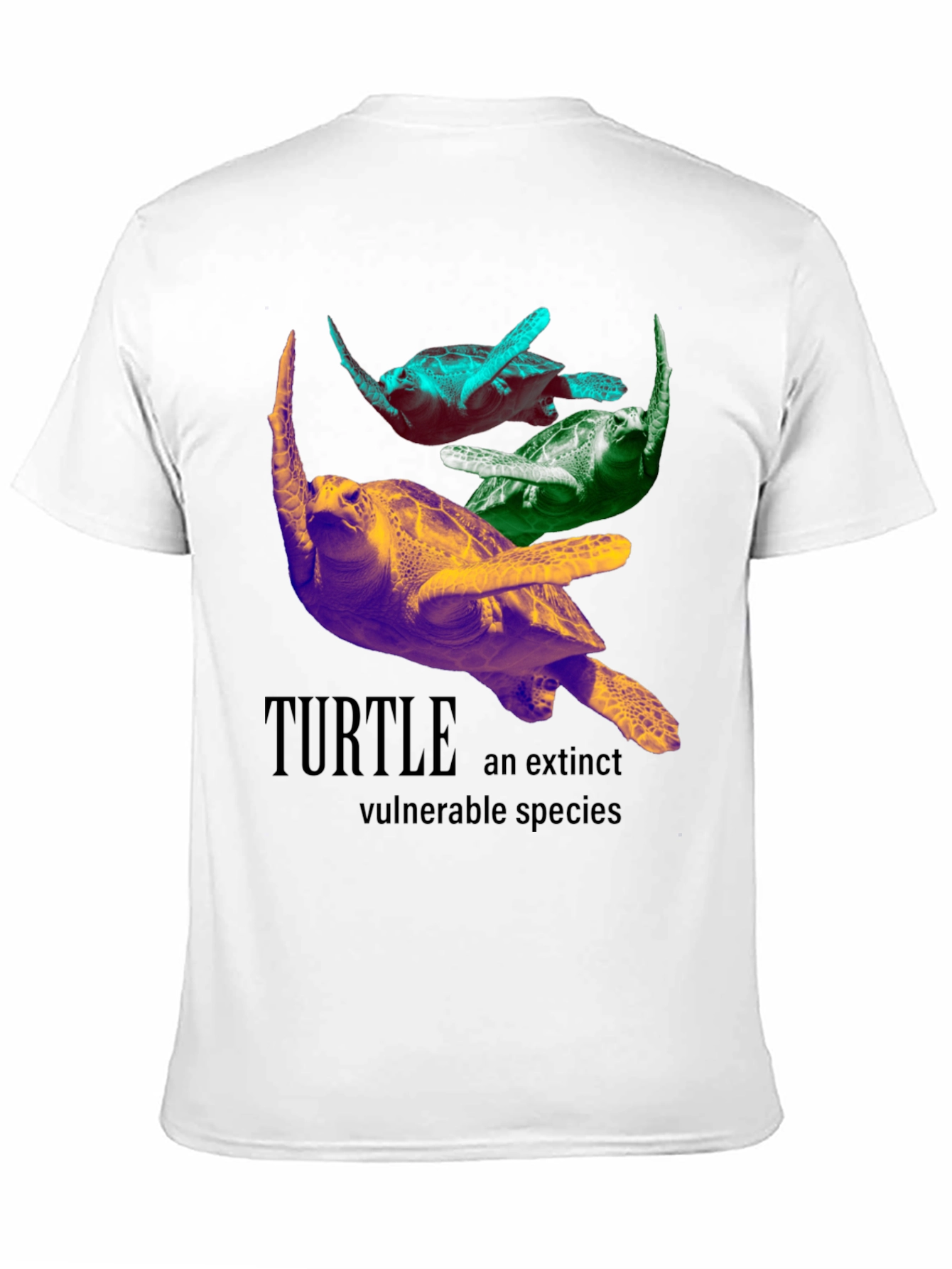 Turtle Species Graphic Tee