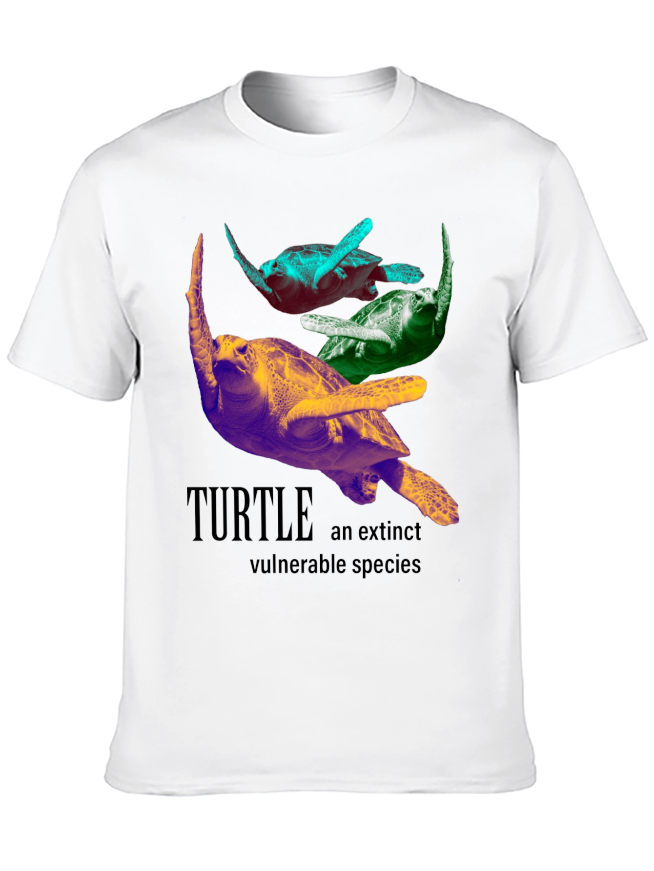 Turtle Species Graphic Tee