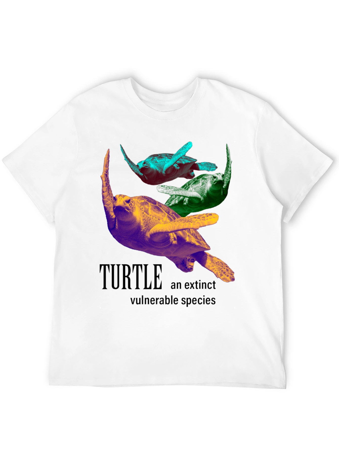 Turtle Species Graphic Tee