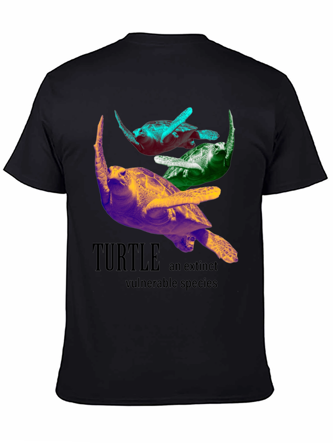 Turtle Species Graphic Tee