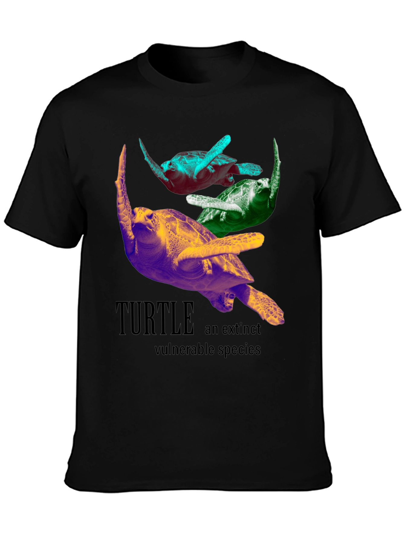 Turtle Species Graphic Tee