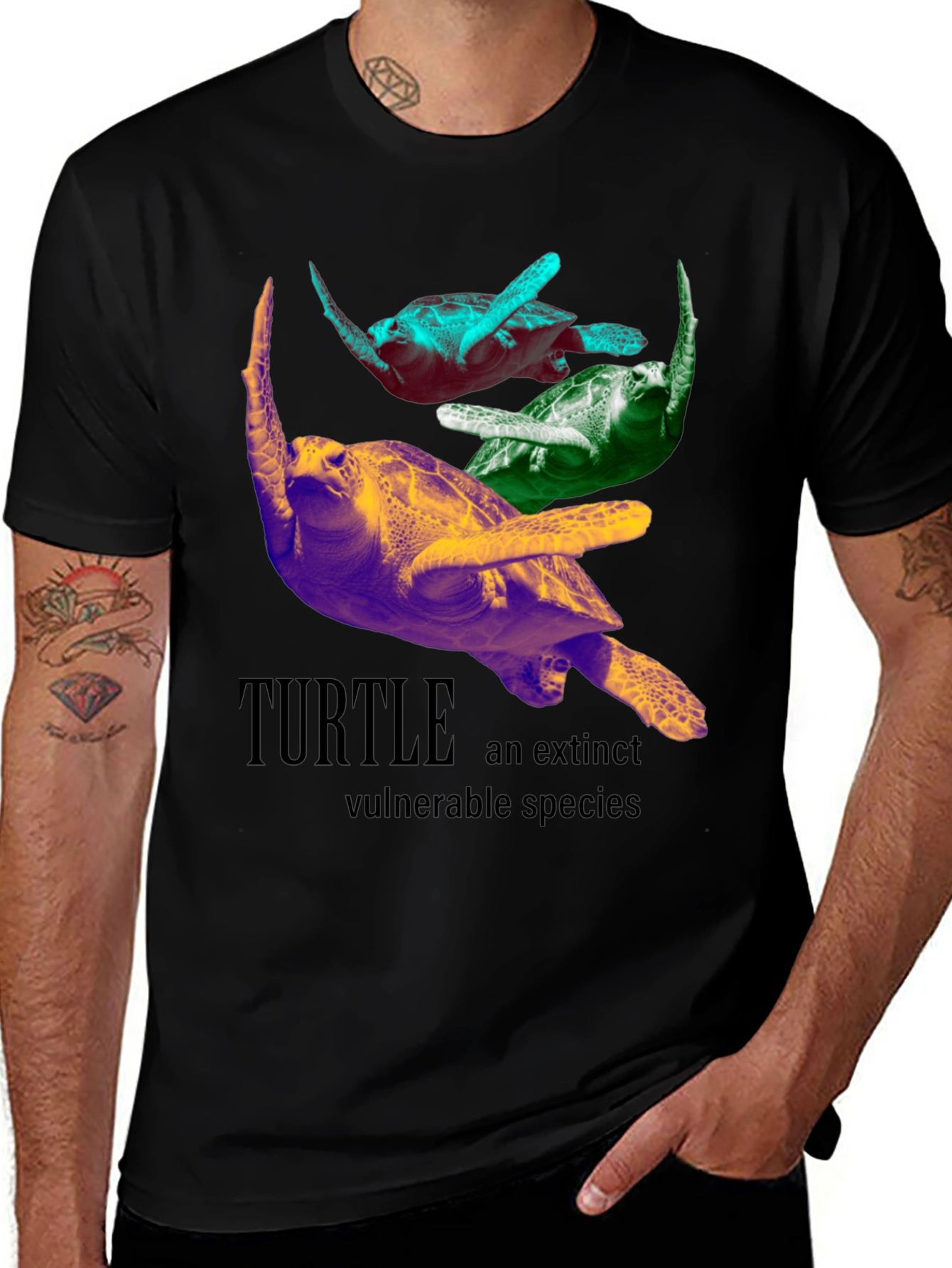 Turtle Species Graphic Tee