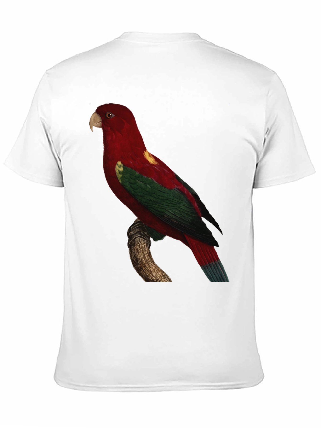 Parrot Graphic Tee - Mens Black T-Shirt