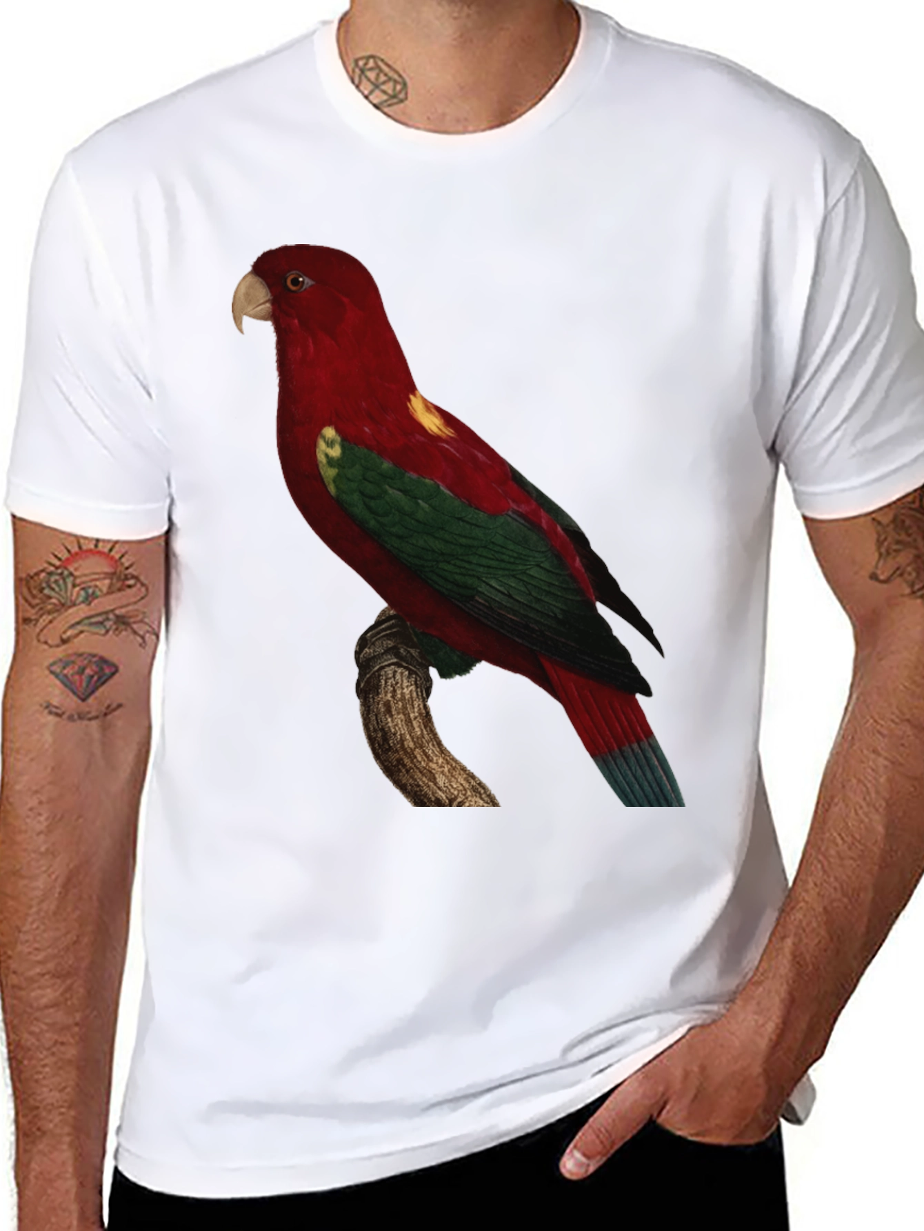 Parrot Graphic Tee - Mens Black T-Shirt