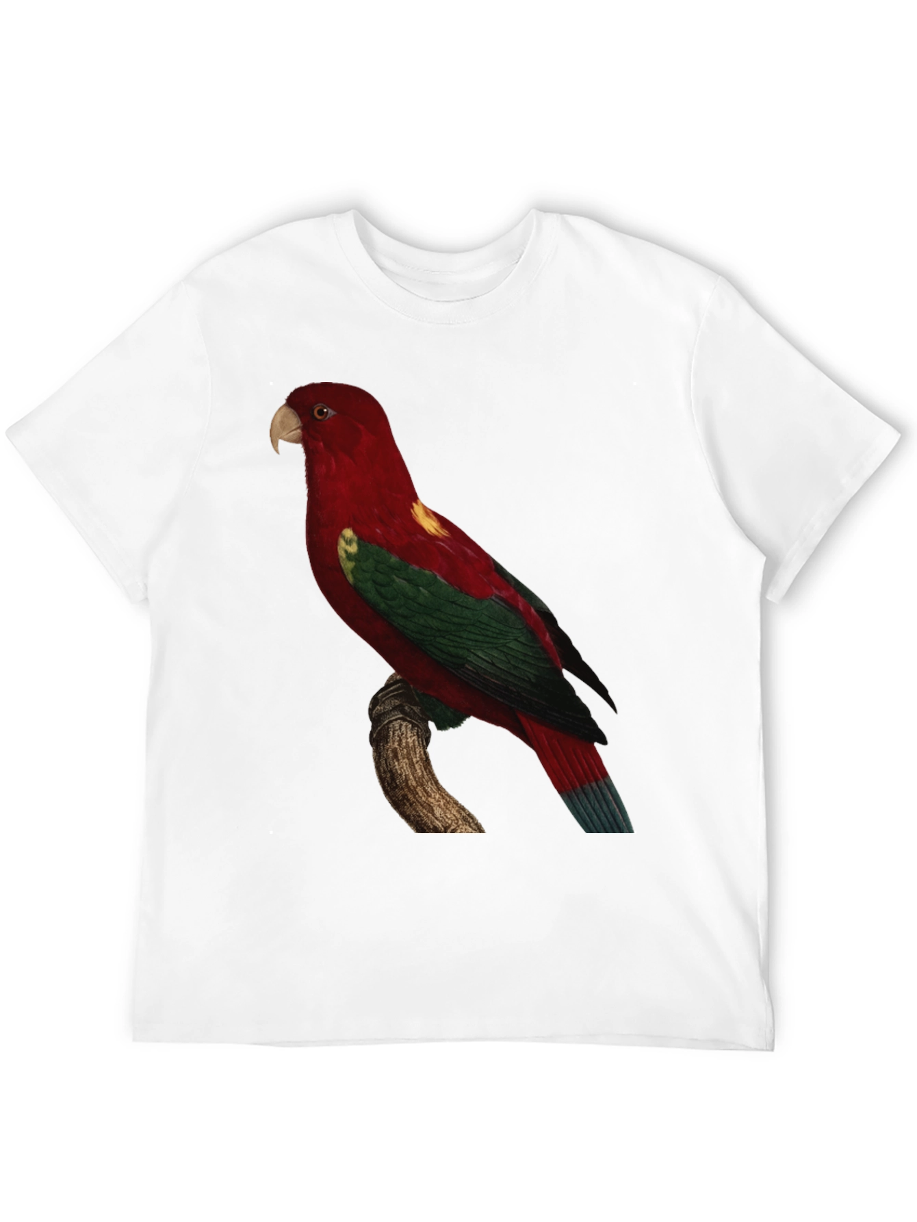 Parrot Graphic Tee - Mens Black T-Shirt