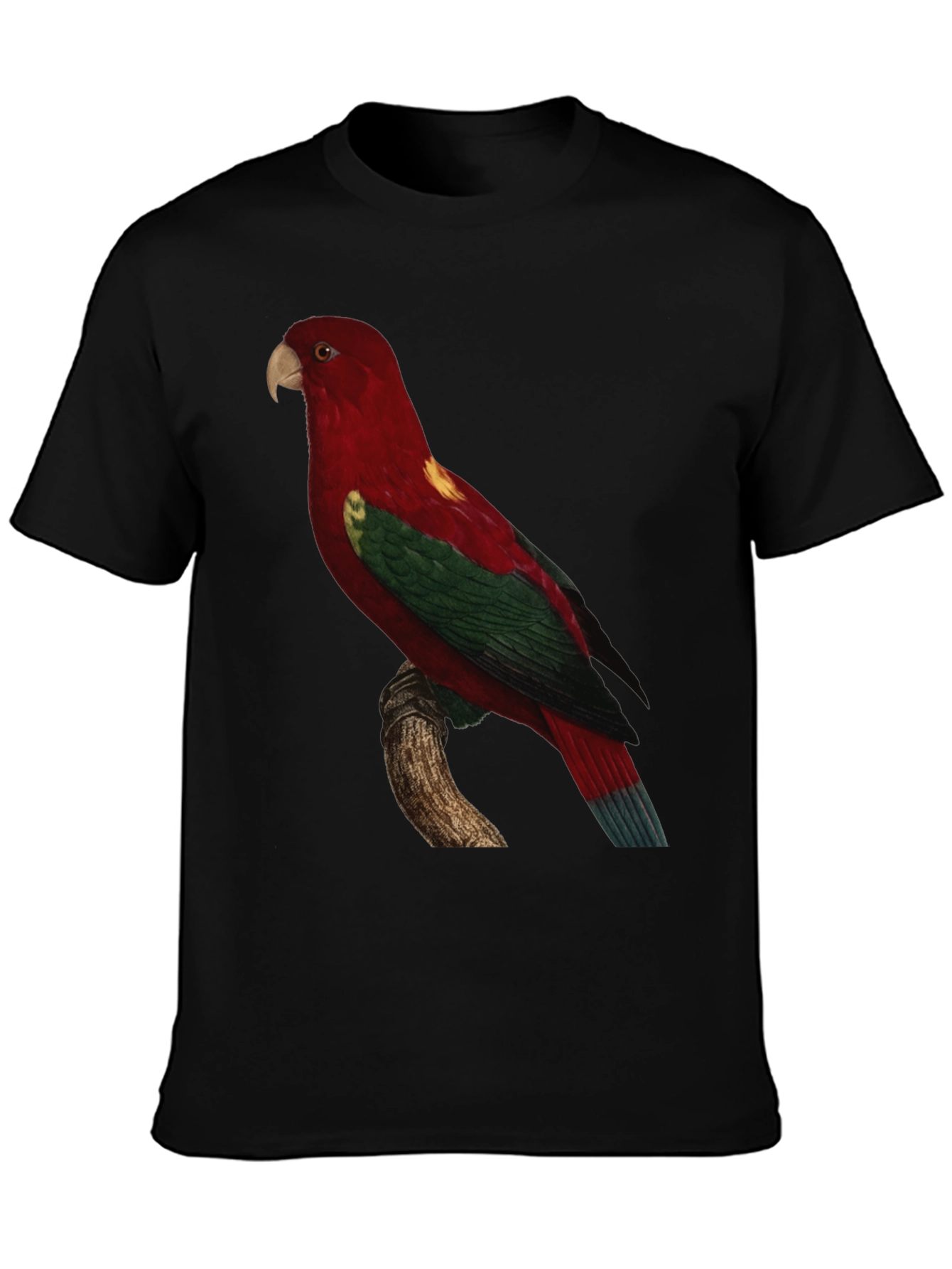 Parrot Graphic Tee - Mens Black T-Shirt