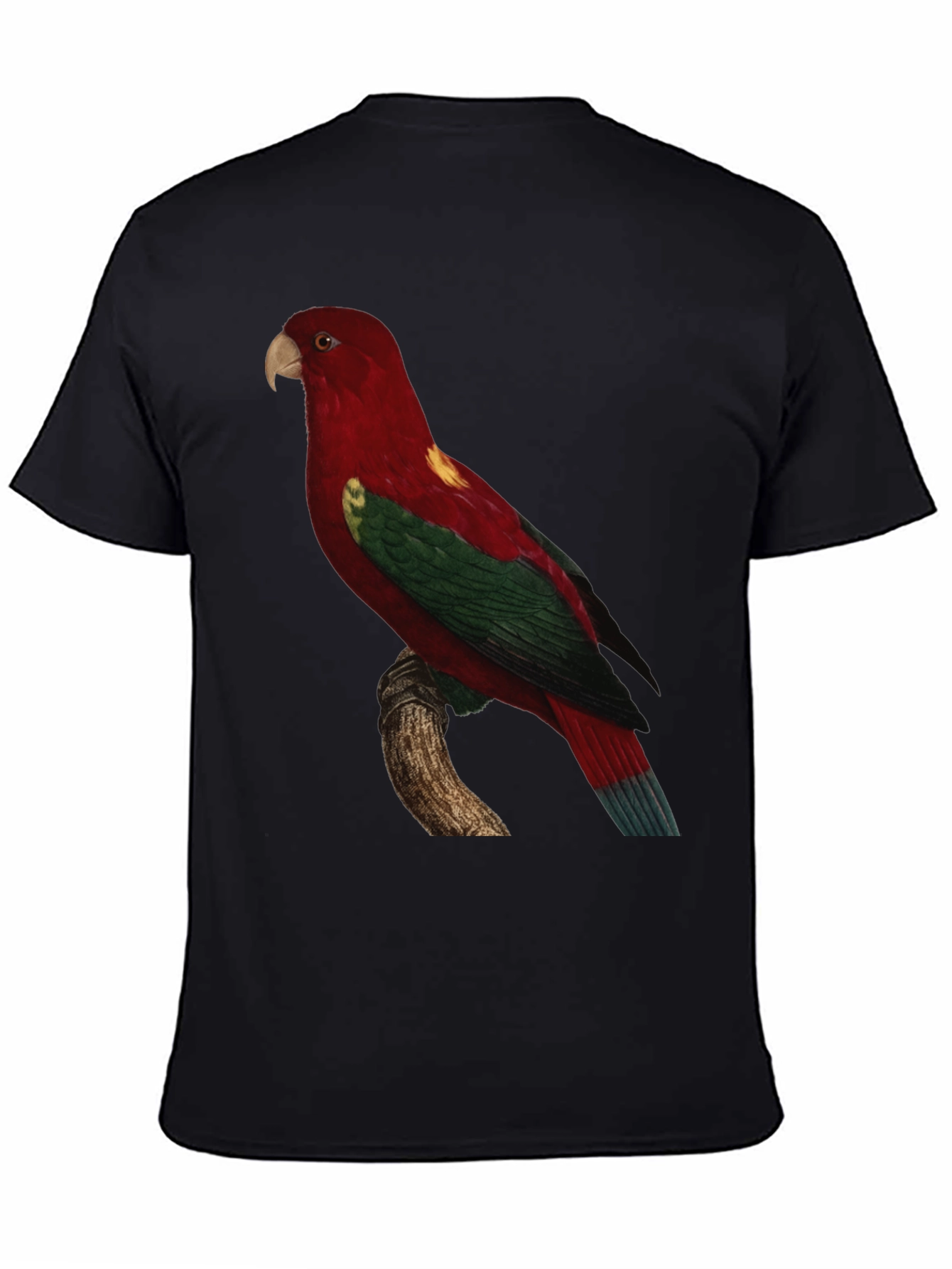 Parrot Graphic Tee - Mens Black T-Shirt