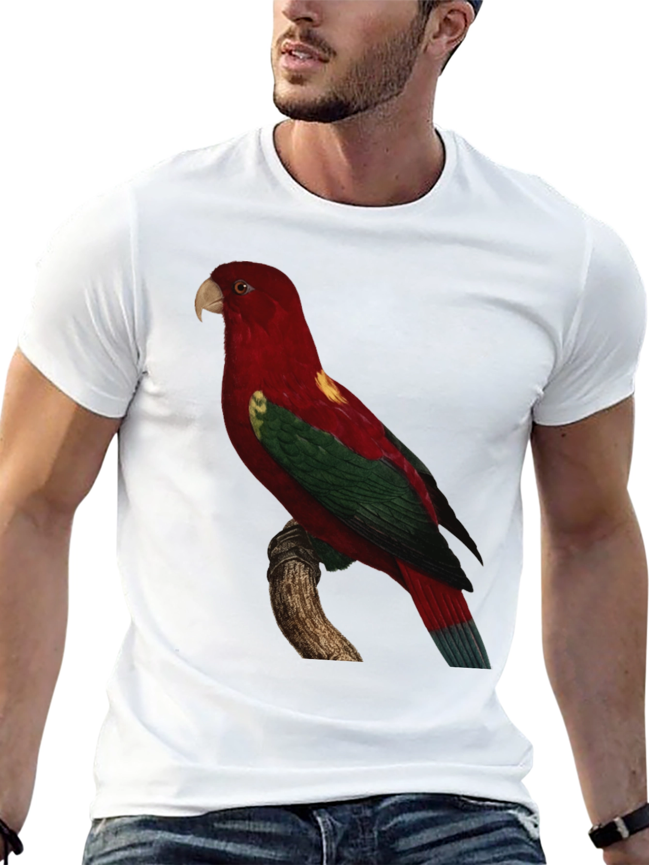Parrot Graphic Tee - Mens Black T-Shirt