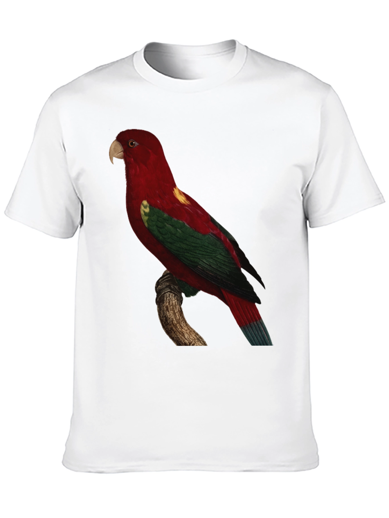 Parrot Graphic Tee - Mens Black T-Shirt